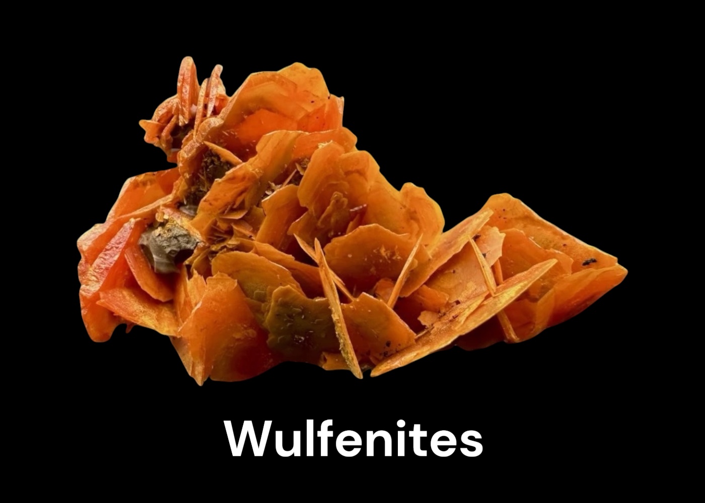 Wulfenite